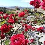 The Roses Garden 3* La Maddalena (Sassari)