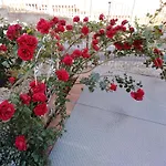 Bed & Breakfast The Roses Garden