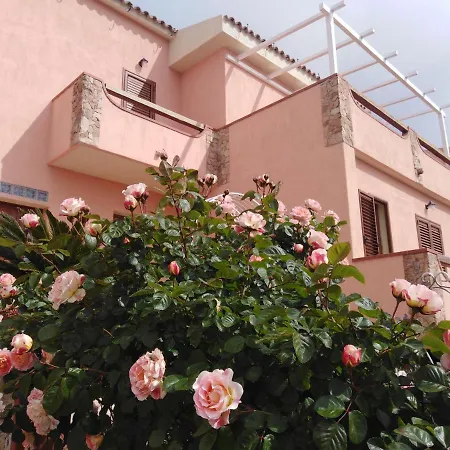 The Roses Garden *