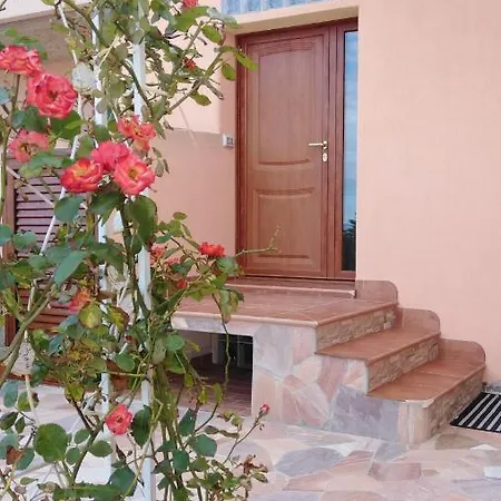 The Roses Garden *