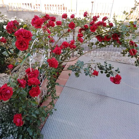 Bed & Breakfast The Roses Garden