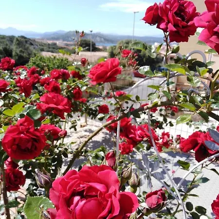 The Roses Garden 4* La Maddalena (Sassari)