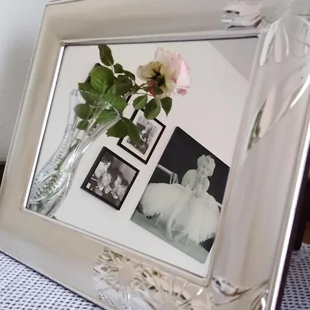 Nocleg ze śniadaniem The Roses Garden