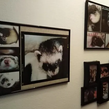 Nocleg ze śniadaniem The Roses Garden La Maddalena (Sassari)