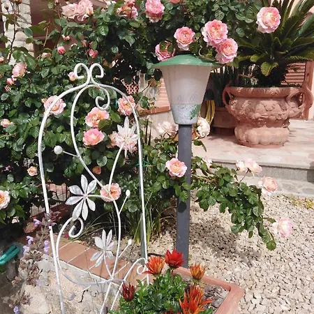 Nocleg ze śniadaniem The Roses Garden 4*