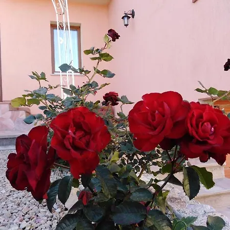 Nocleg ze śniadaniem The Roses Garden 4*