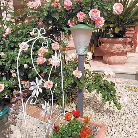 The Roses Garden Bed & Breakfast