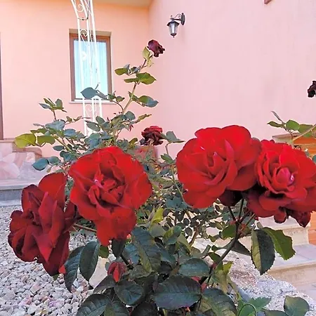 The Roses Garden 4*