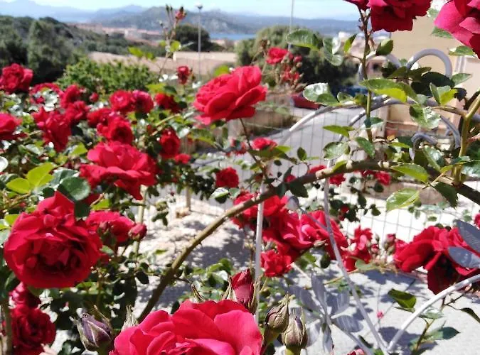The Roses Garden 4* La Maddalena